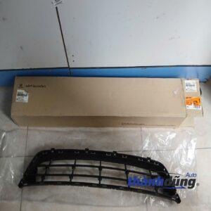 LƯỚI CẢN HYUNDAI SANTAFE 2015-2018 | 865602WAA0