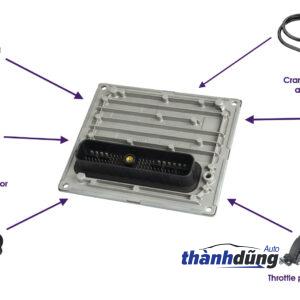 HỘP ĐEN DONGBEN X30 2023 | F01R00D539 - Ảnh 5