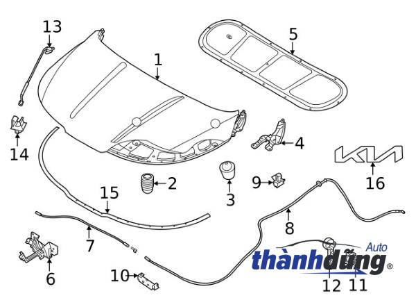 LOGO CỐP HẬU TOYOTA VIOS 2014-2021 | 754420D190 - Ảnh 3